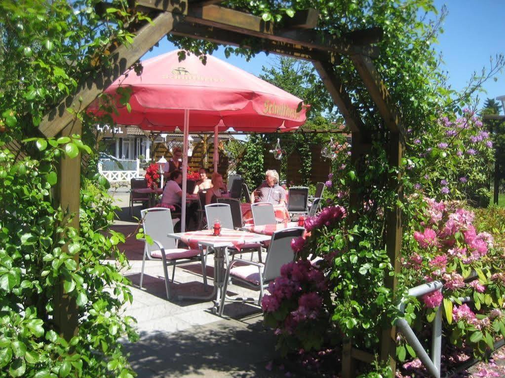 Hotel-Restaurant Vier Linden شتاده المظهر الخارجي الصورة